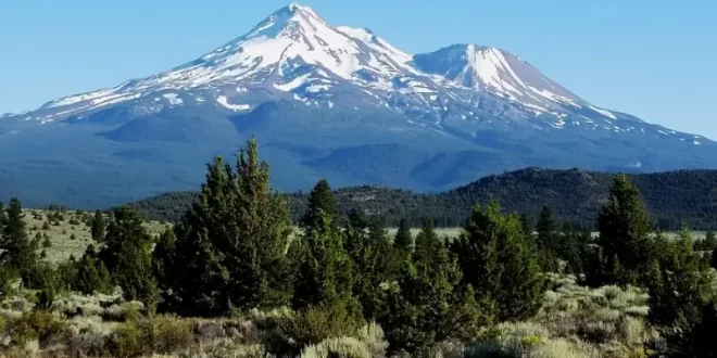 Monte Shasta