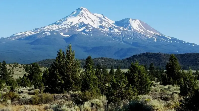 Monte Shasta