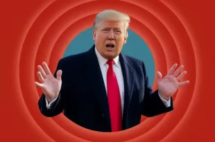 Porkytrump