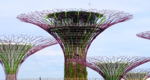 Gardens by the Bay