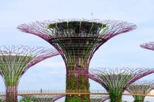 Gardens by the Bay