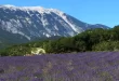 La Provenza