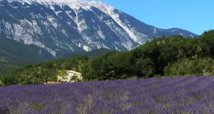 La Provenza
