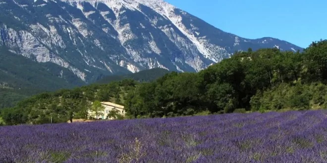 La Provenza