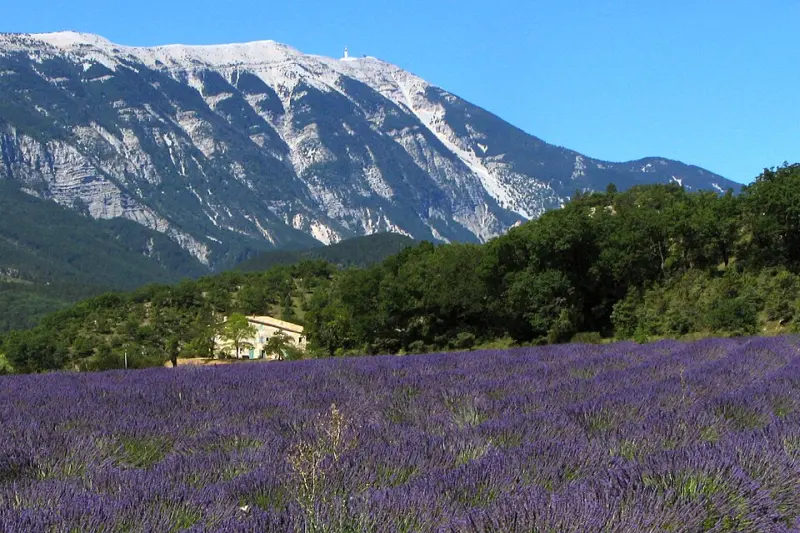 La Provenza