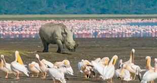 Lago Nakuru