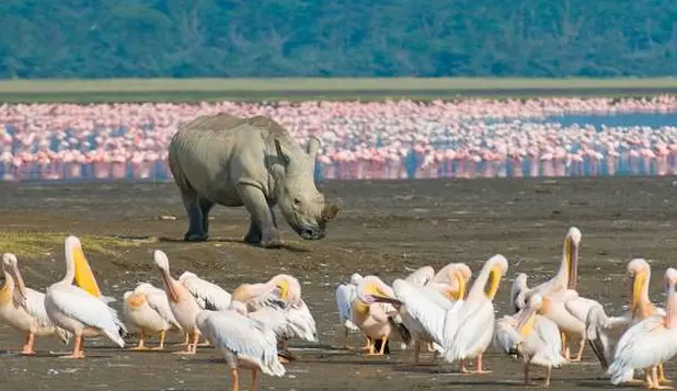 Lago Nakuru