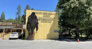 Bigfoot