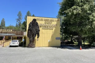 Bigfoot