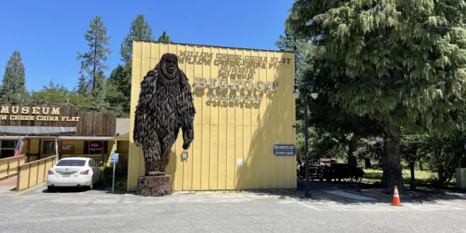 Bigfoot