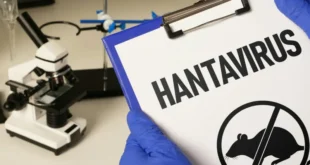 Hanta