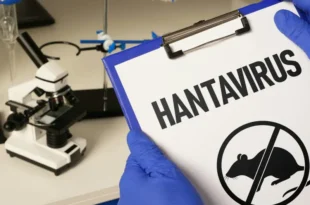 Hanta