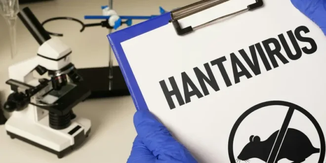 Hanta