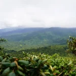 Monteverde