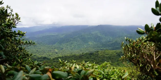 Monteverde