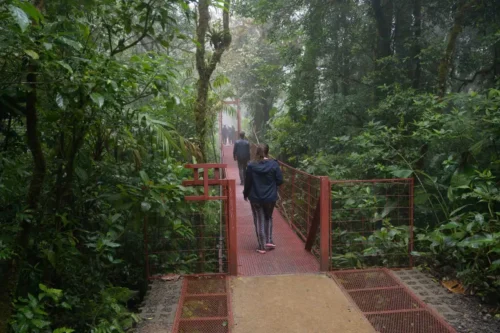 Monteverde